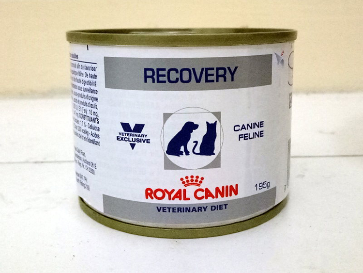 Thức ăn ướt Royal Canin cho mèo Recovery