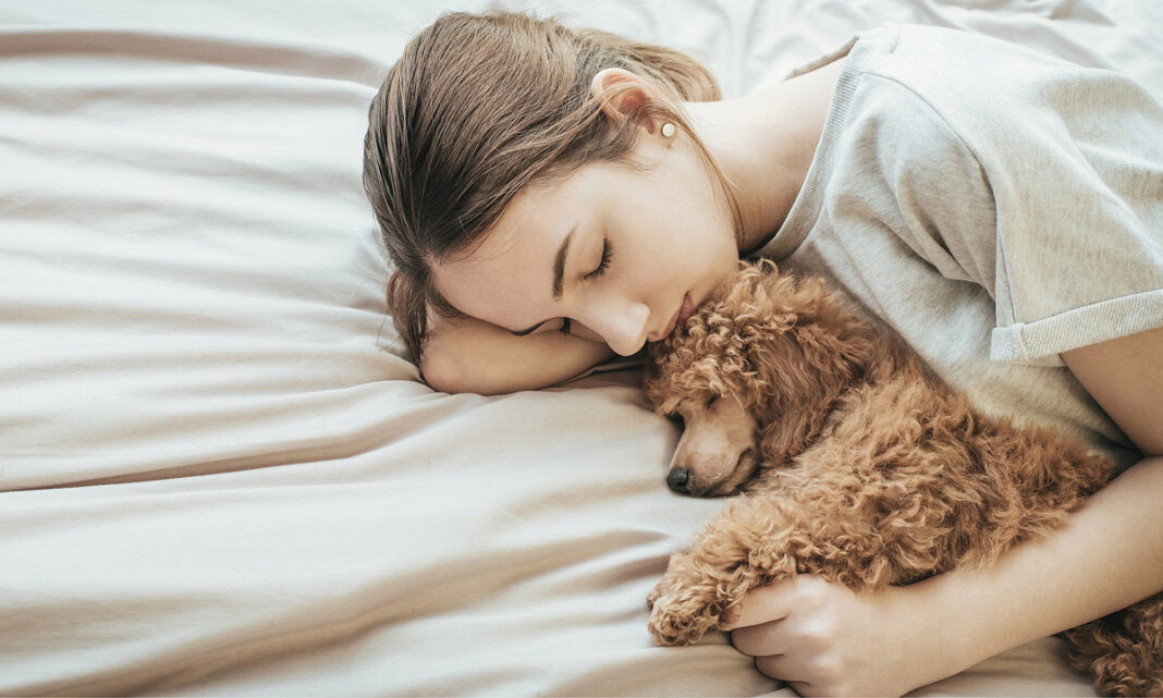 Có nên cho chó ngủ cùng người không?